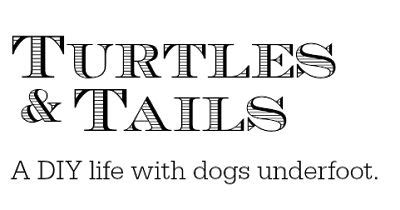 the words turtles and tails written in black on a white background with an image of a dog