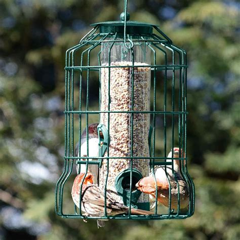 Squirrel Proof Bird Feeder Hanging Cage Seed Food