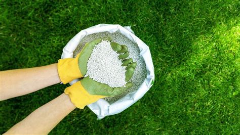 Complete Guide To Lawn Fertilization Services – Forbes Home