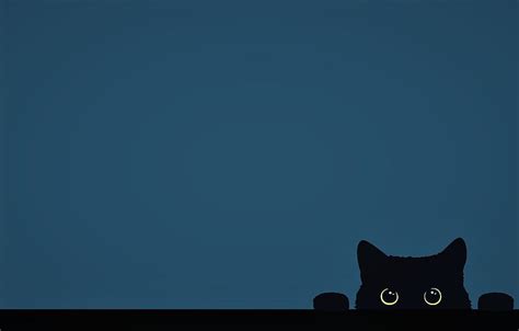 Black Cat Minimalist HD wallpaper | Pxfuel