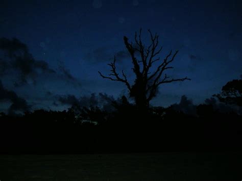 spooky night sky. | The hour of the dark. | Shivya Nath | Flickr