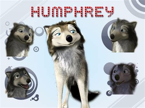 Humphrey Wallpaper - Humphry from the movie "Alpha and Omega" Wallpaper ...