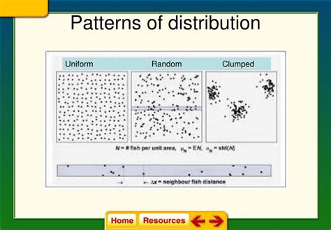 PPT - Chapter 4 Population Ecology PowerPoint Presentation, free ...