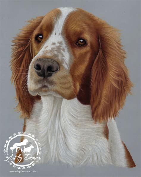 Pet Portraits & Animal Art by UK Artist Donna | Pet Portrait Portfolio