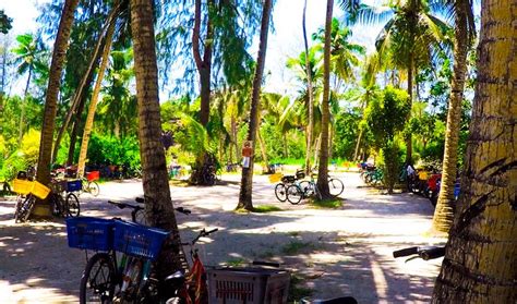 This is what parking spaces at the beach should look like. | Travel ...