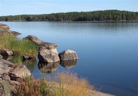 Rare seals from Finland’s Saimaa lake in danger, says WWF – Eye on the ...