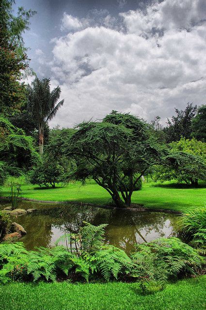 JARDIN BOTANICO DE BOGOTA, COLOMBIA - Jardín Botánico in Bogotá # ...