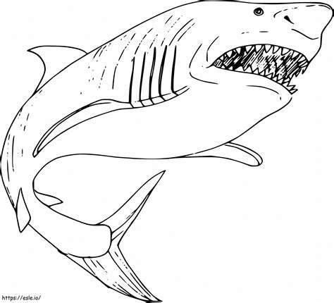 Tiburon Megalodon Grande coloring page