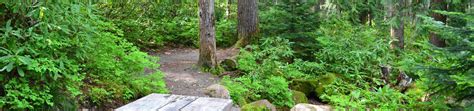 Take a trip to Lost Lake Resort And Campground - Outdoorsy in Cascade Locks, OR | Outdoorsy