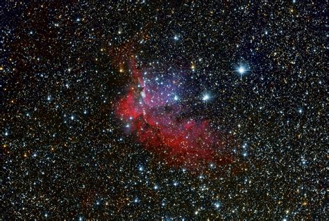 Wizard Nebula, NGC 7380 - Astrophotography by galacticsights