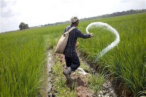 Government Assures Farmers Affordable Soil Nutrients with Subsidies on Both Urea And Non-Urea ...