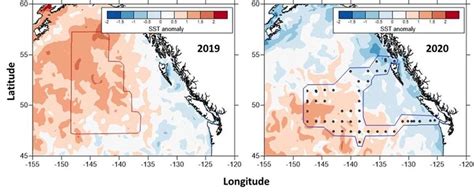 Sea surface temperature anomaly (1993-2015 mean) during 2019 and 2020 ...