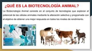 Biotecnología Animal | PPT