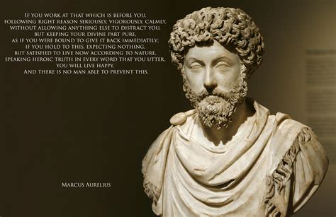 "If you work at that which is before you…" – Marcus Aurelius | Live by quotes