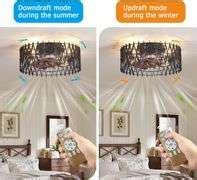 Low Profile Caged Ceiling Fans with Lights Remote Control, Farmhouse 16 ...