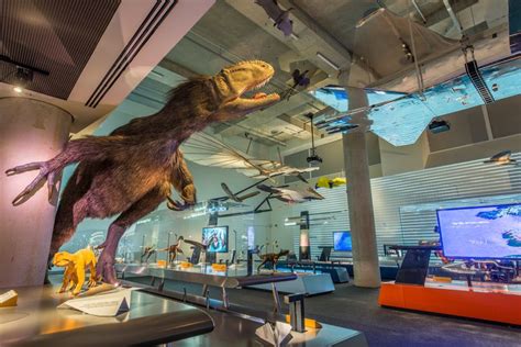 Miami Science Museum: A Comprehensive Guide | HuffPost