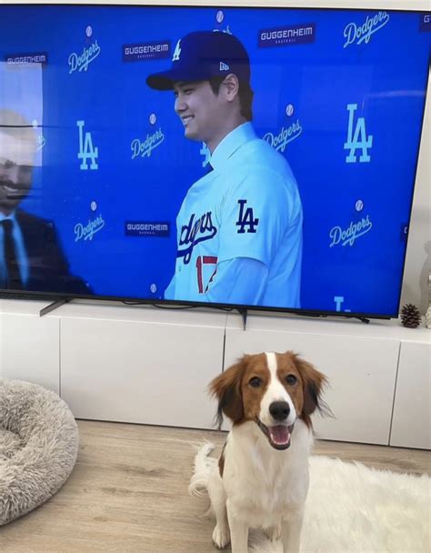 Ohtani Reveals Dog's Name