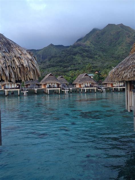 Overwater bungalow moorea | Overwater bungalows, Travel bucket list ...