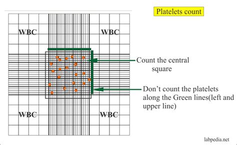 Platelet Count