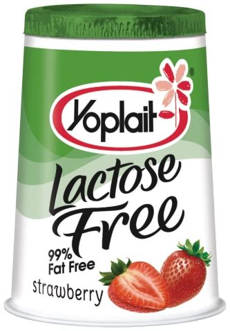 Food and Product Reviews - Yoplait Lactose Free Yogurt - Food Blog | Bite of the Best