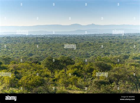 Kruger National Park, Mpumalanga, South Africa Stock Photo - Alamy