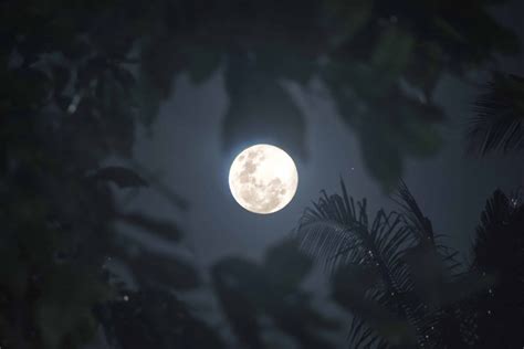 Wolf Moon Eclipse to be visible in Cebu on January 11