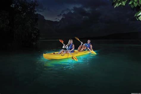 Laguna Grande Bioluminescent Tour • Puerto Rico Taxi