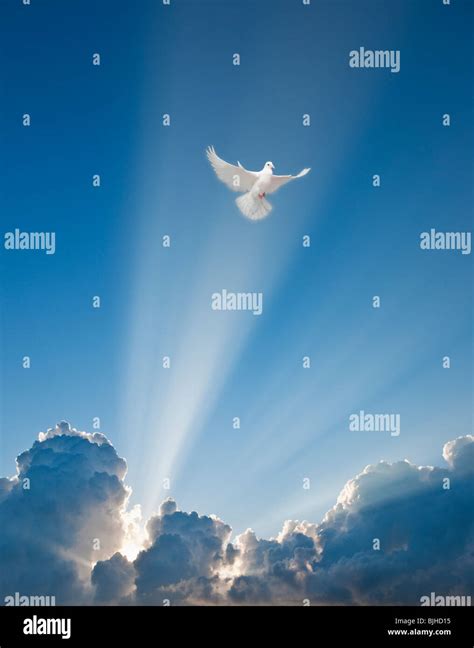 Dove and clouds Stock Photo - Alamy