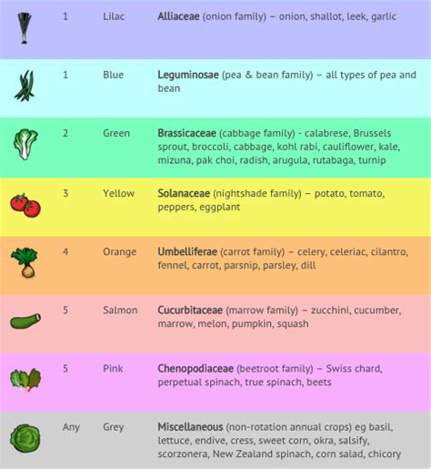 Crop Rotation: How to Rotate Your Vegetable Crops | The Old Farmer's ...