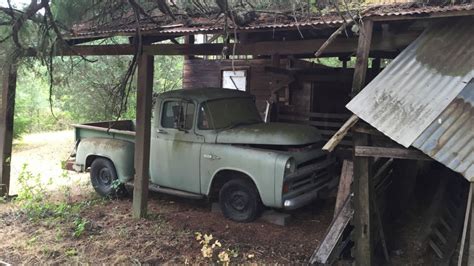 ShedSide: 1957 Dodge D100 | Barn Finds