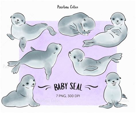 Cute Seal Seal Clipart Stickers Clipart Watercolor Clipart | Etsy