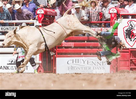 Cheyenne, Wyoming, USA. 26th July, 2015. Bull rider Aaron Pass is tossed from his bull after ...