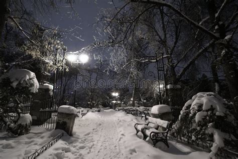 Empty Park Under Snow during Winter Cold Night Stock Image - Image of deserted, freezing: 23248353