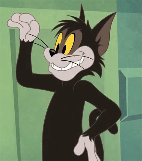 Butch Cat | Warner Bros. Entertainment Wiki | Fandom