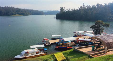 The Natural Marvels Of Kodaikanal And Ooty | Talk Geo - Lifestyle Tips And Tricks