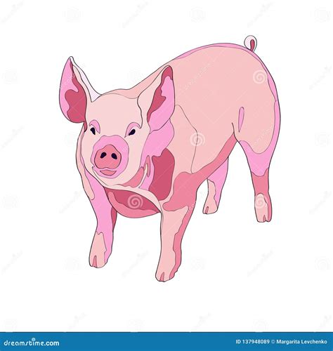 Vector Illustration. Pig, Side View. Color Stock Illustration - Illustration of nature, label ...