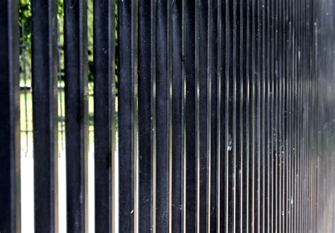 Iron Gates: Black Iron Fence