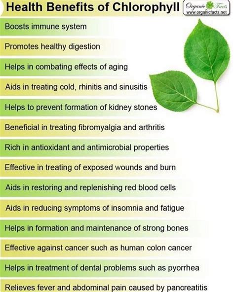 Liquid chlorophyll benefits - notesholden