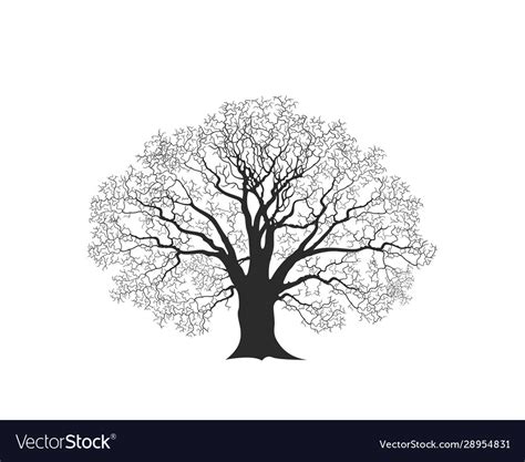 Cartoon Oak Tree Vector Clip Art Stock Vector Royalty - vrogue.co