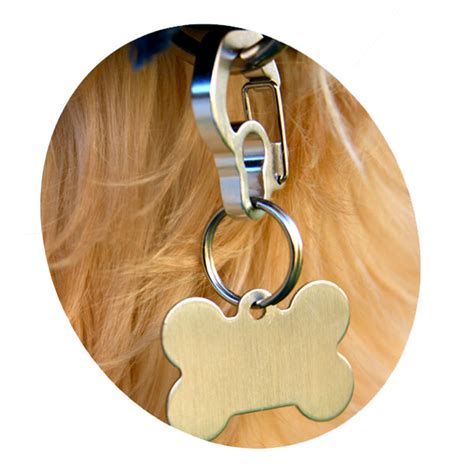 Rubit Dog Tag Clips – Lucy Lou's Designs