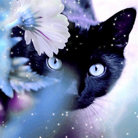 Cat iPad Wallpapers - Top Free Cat iPad Backgrounds - WallpaperAccess