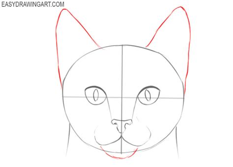 How to Draw a Cat Face - Easy Drawing Art