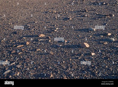 desert pavement of pebbles and cobbles in the Mojave Desert Stock Photo - Alamy