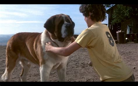 Cujo. Dir. Lewis Teague, Warner Bros. pictures. 1983. – ZooScope