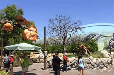 It's Tough To Be A Bug! in California Adventure's A Bug's Land [Closed]