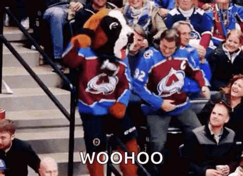 Colorado Avalanche Fans GIF - Colorado Avalanche Fans Avalanche ...