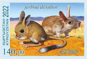 Stamp: Jerboa desultor (Kyrgyzstan(Wildlife of Kyrgyzstan (2023)) Mi:KG ...