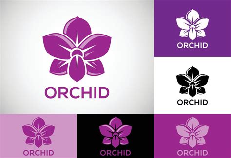 Orchid Flower Logo Vector Art, Icons, and Graphics for Free Download