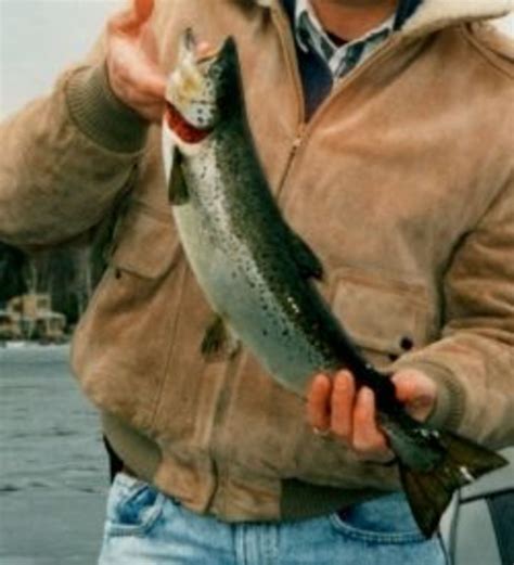 Spring Fishing In Maine: Trolling For Landlocked Salmon | HubPages