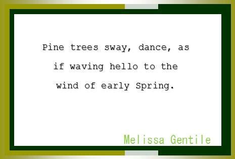 Springtime haiku poetry